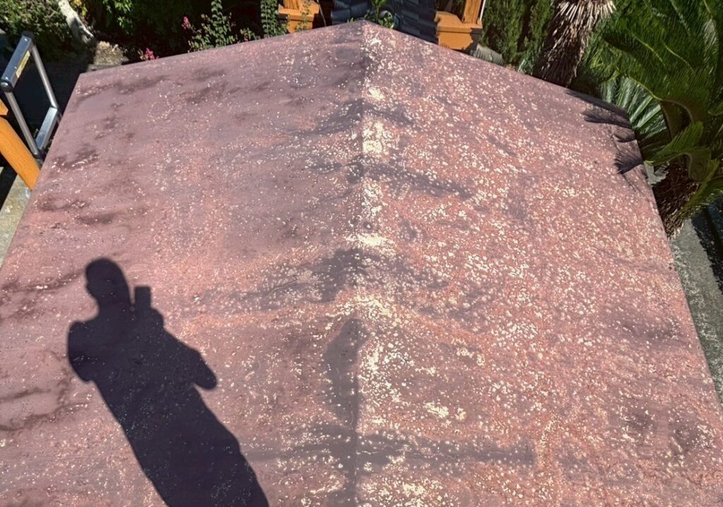 大木町　寺　トイレ　屋上防水　着工前 (2)